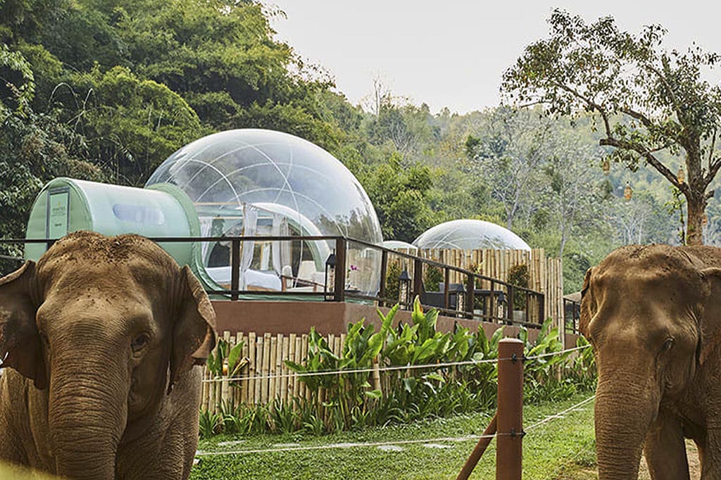 глэмпинг в отеле Анантара, на территории которого живут слоны